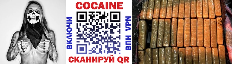 Купить закладки  Спас-Клепики  Кокаин Fish Scale 